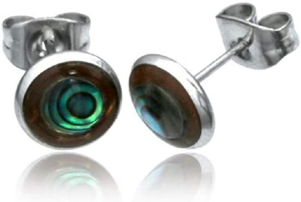 Earth Accessories Organic Shell and Coconut Stud Earrings for Women/Earring set with Abalone, Shiva Eye, and Turquoise/Ear Rings with Surgical Steel