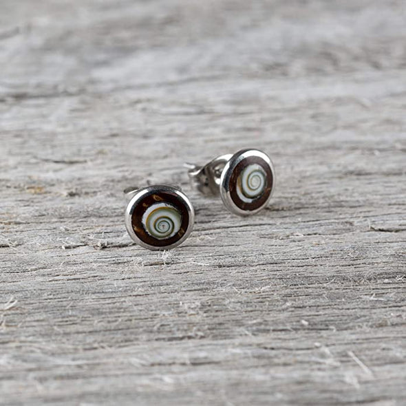 Earth Accessories Organic Shell and Coconut Stud Earrings for Women/Earring set with Abalone, Shiva Eye, and Turquoise/Ear Rings with Surgical Steel